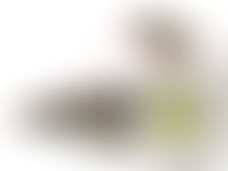 Behind the Science: How do Sharks, Skates and Rays Hear?