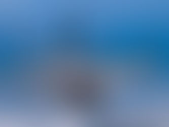 A Day in the Life of a Shark