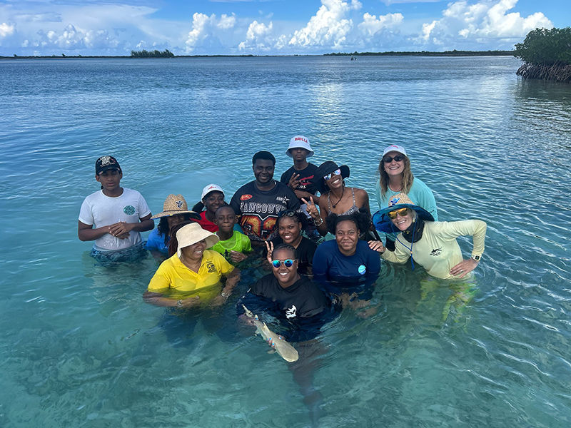 Students participating in shark research