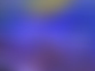 Visiting the Marine Science Center