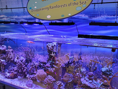Visiting the Marine Science Center