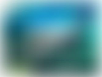 Journal Review: Using cameras to hang out with basking sharks (Cetorhinus maximus)