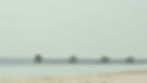 palya_edited.jpg