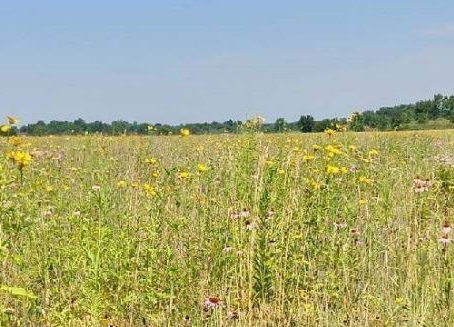 Managing Your Land for Wildlife
