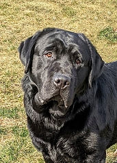 head february 2022.jpg