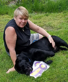 GCH CH Erinhill's Significant Otter Winning BOB at a Labrador Specialty