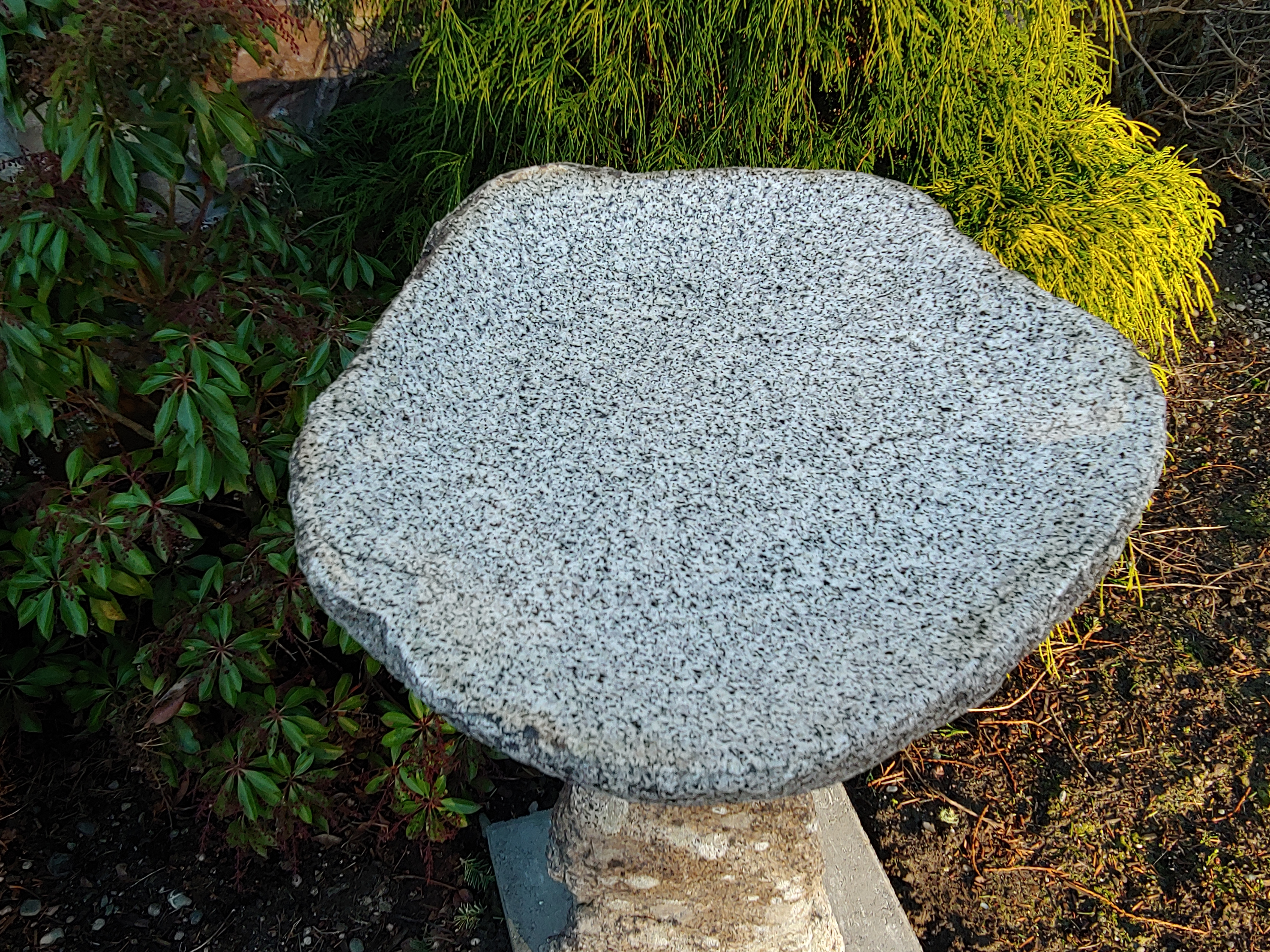 Polished Granite Bird Bath Basin