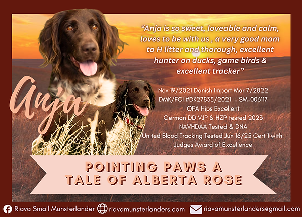 Riava's I Litter Annoucement (10 x 7 in) (1).png