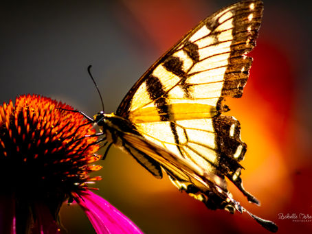 Les collègues… côtoyer ou éviter ?