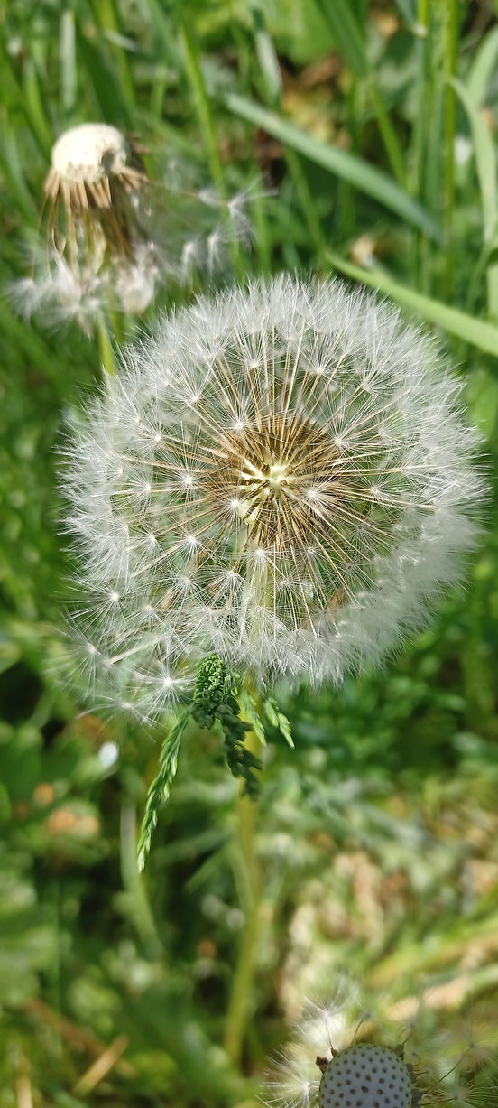 20220518_115713.jpg