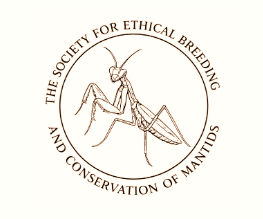 SBECM Logo_edited.jpg