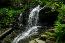 Ricketts Glen Falls