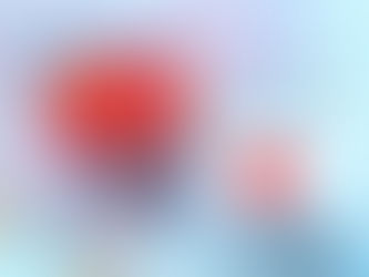 日本と中国との社会保障協定が発効しました