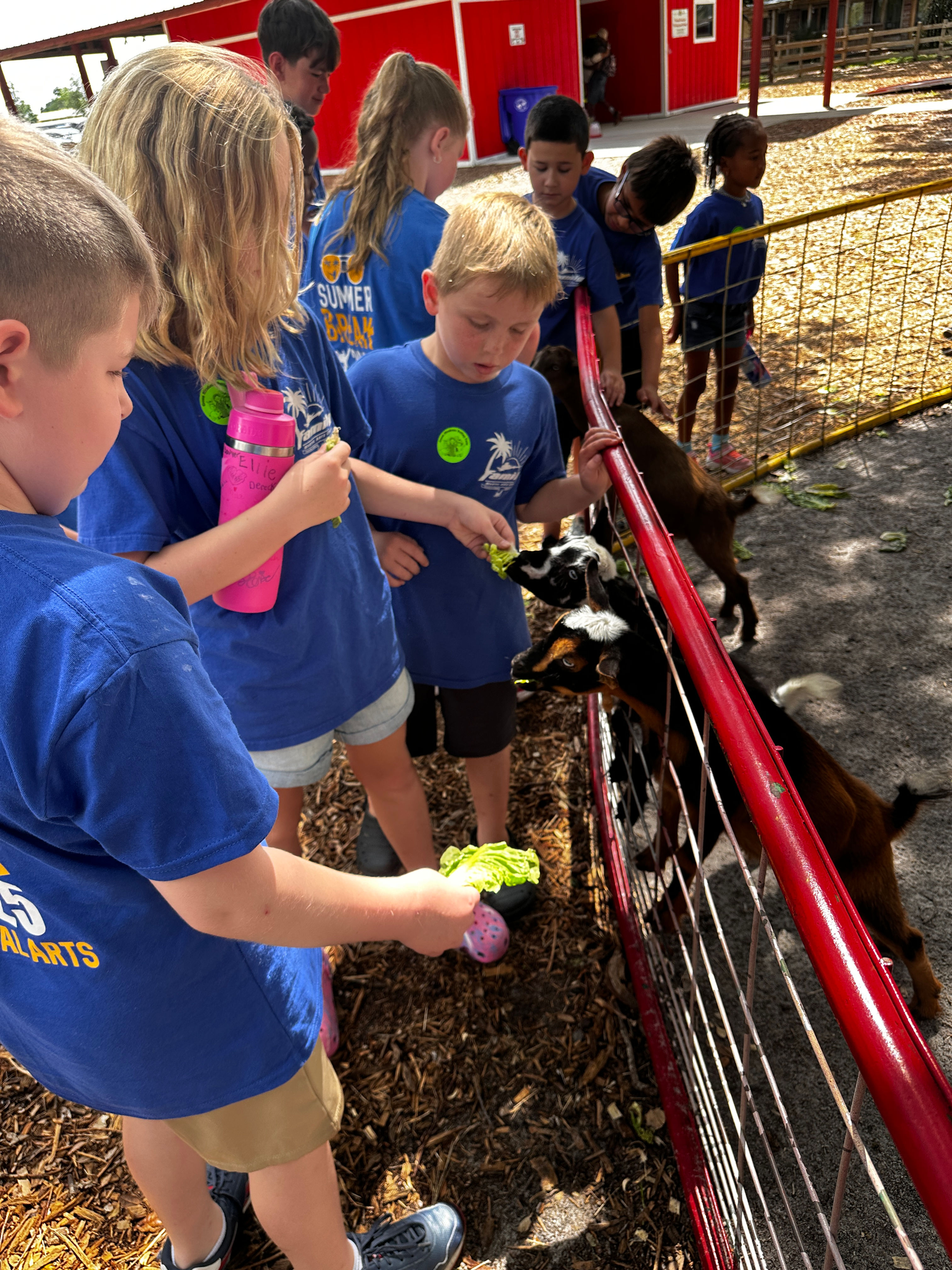 Green Meadows Field Trip