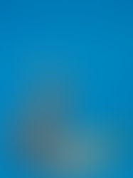 So What? We Grew Up With That