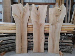 Live Edge Birch Slabs.jpg