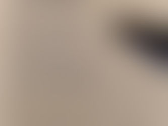 Introduction au Model