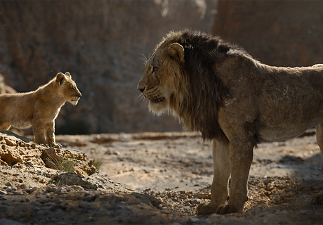 Mufasa.webp