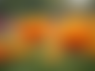 Estrategias de Comunicação para Melhorar sua Visibilidade