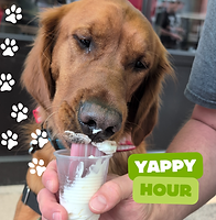 Wix AMB Yappy Hour SQ.png