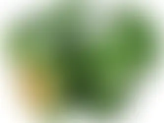 Pompa Celup Sumur: Solusi Tepat untuk Masalah Ketersediaan Air Bersih