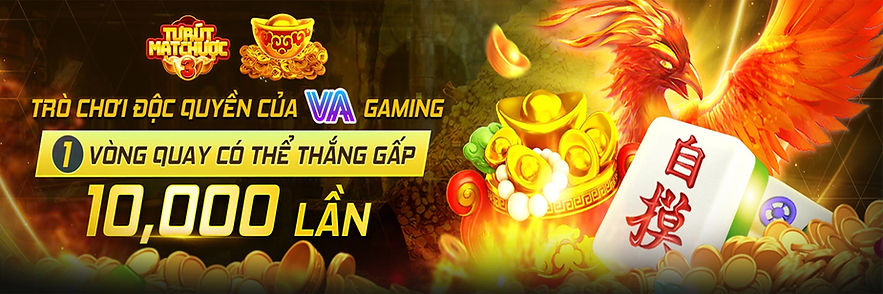 banner.jpg