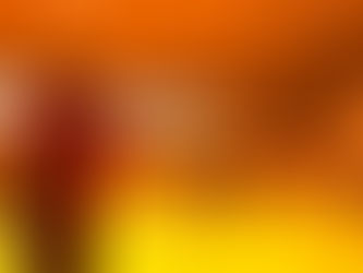 6年生最終公式戦大会(スポ少冬季交流混合県大会)