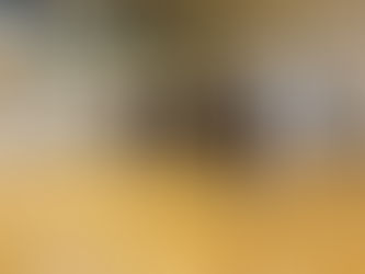 ヤングチーム平日練習