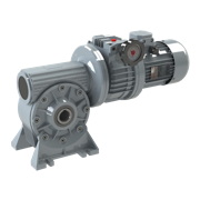 Motorreductor VMF Cidepa