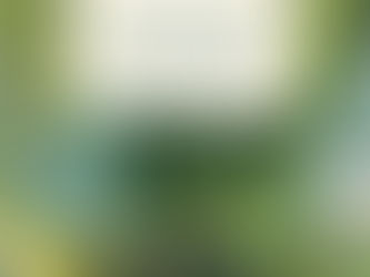 At the Edge of Collapse and Connection: Victoria Loorz on Wild Spirituality (Show Notes)