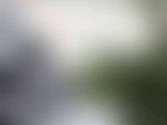 Claudia Jaguaribe: A visão e o sentido (2016), exposição na Galeria Celma Albuquerque¹