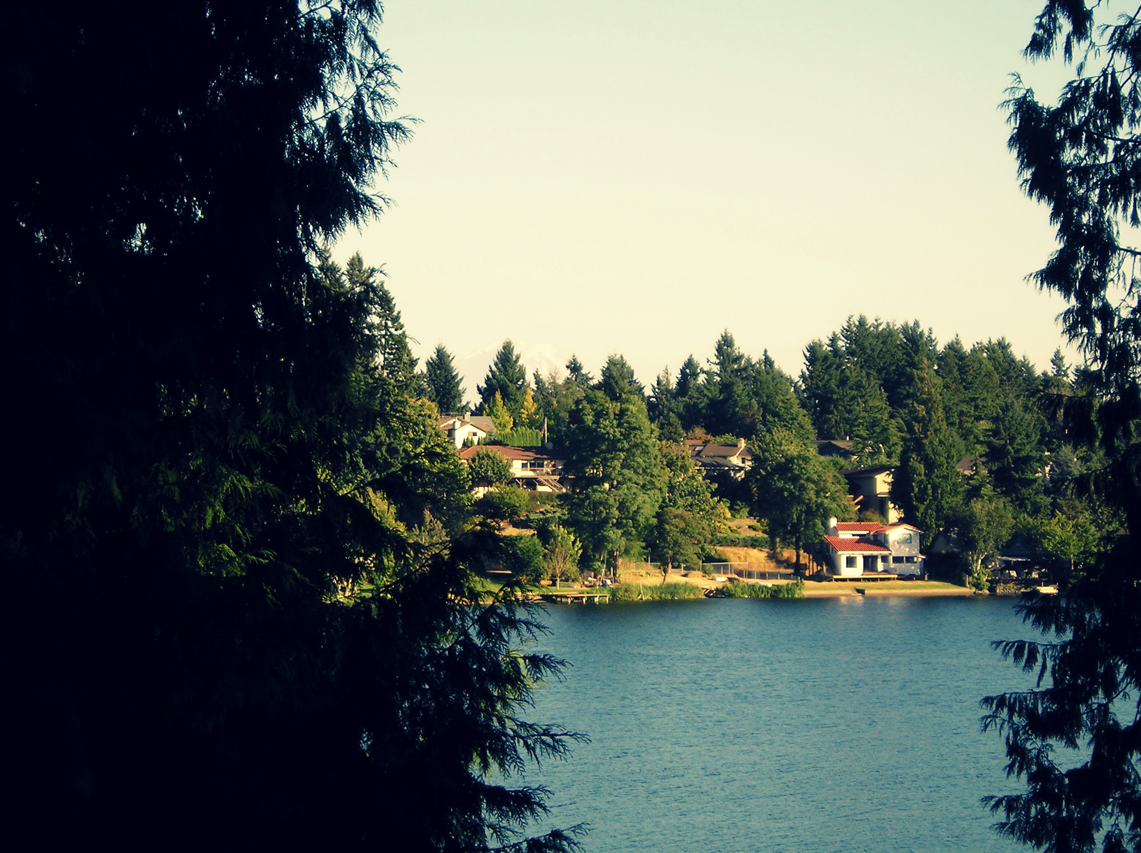 Backyard2