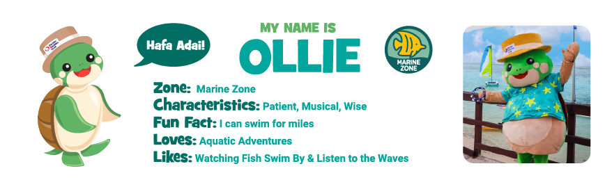 OLLIE.png
