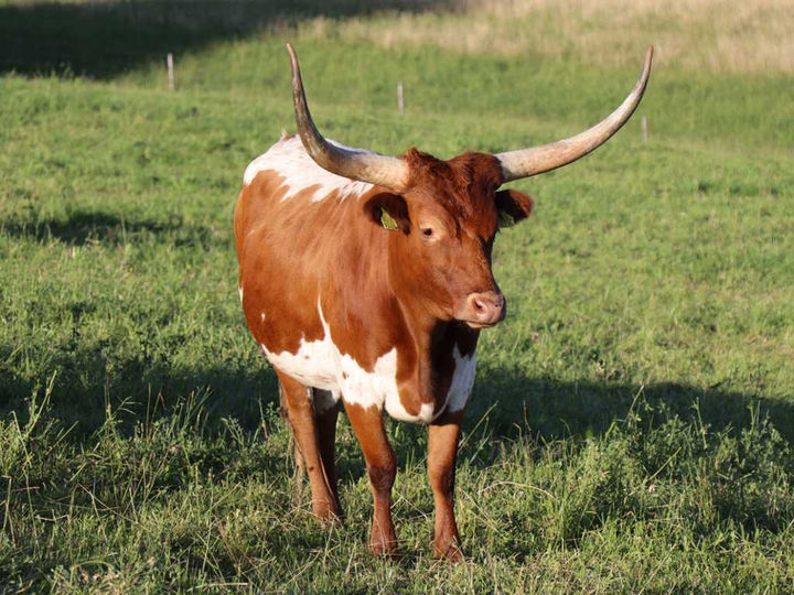 Marybell Monroe Moosacker Ranch.jpg