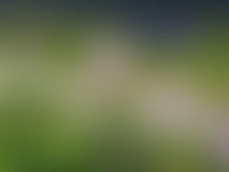 Sabbath Devotional: Thoughts on Agency