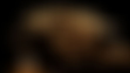 Sabbath Devotional: Permission to Grieve