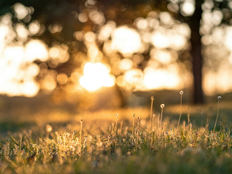 Sabbath Devotional: Rest