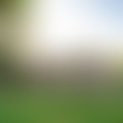 Australia’s Multigenerational Home Boom and the Surge in Contested Wills