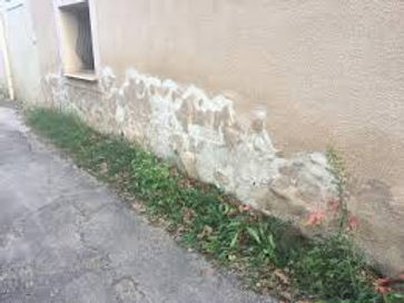 images-10.jpeg