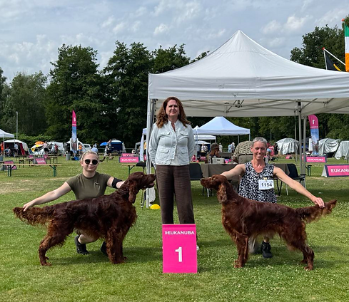 Scherm­afbeelding 2025-10-03 om 14.47.57.png