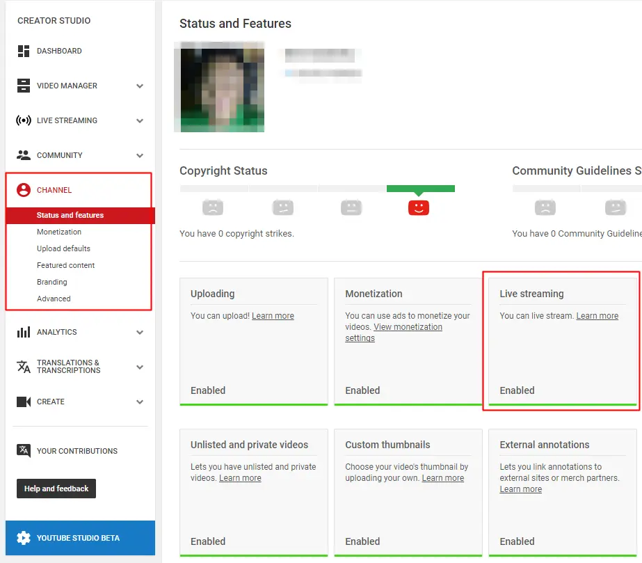 YouTube dashboard showing the "Status and Features" page. Features like uploading, monetization, and live streaming are enabled.