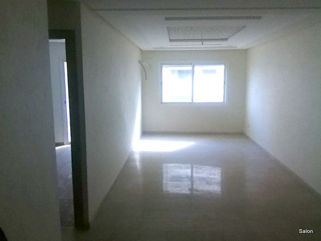photo 4 (1)