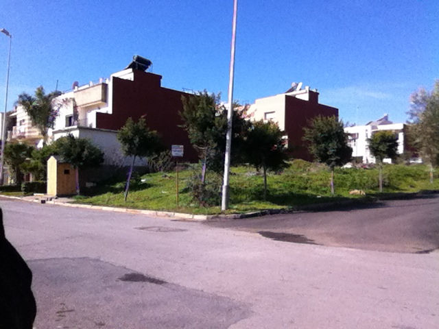 photo 2 (2)