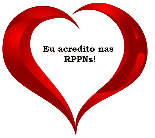 Coração 1