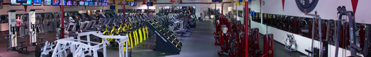 MAIN WEBSITE PIC_edited_edited.jpg