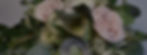 Centerpiece_HeroImage1.jpg