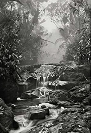 Pôster Coleção Amazônia Sebastião Salgado, N°01/ Instituto Terra