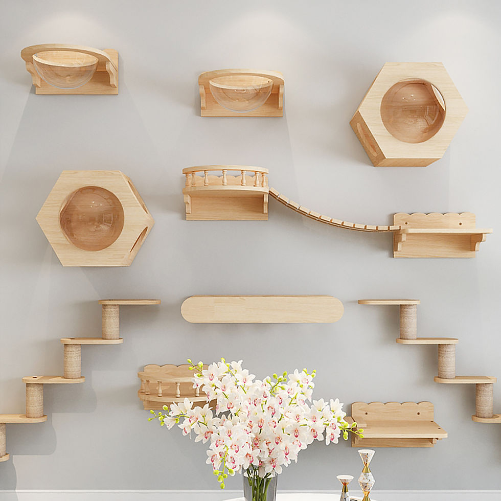 Thumbnail: Wall Mount Cat Furniture Natural Wood Floating Cat Shelves Indoor Kitten Climbin