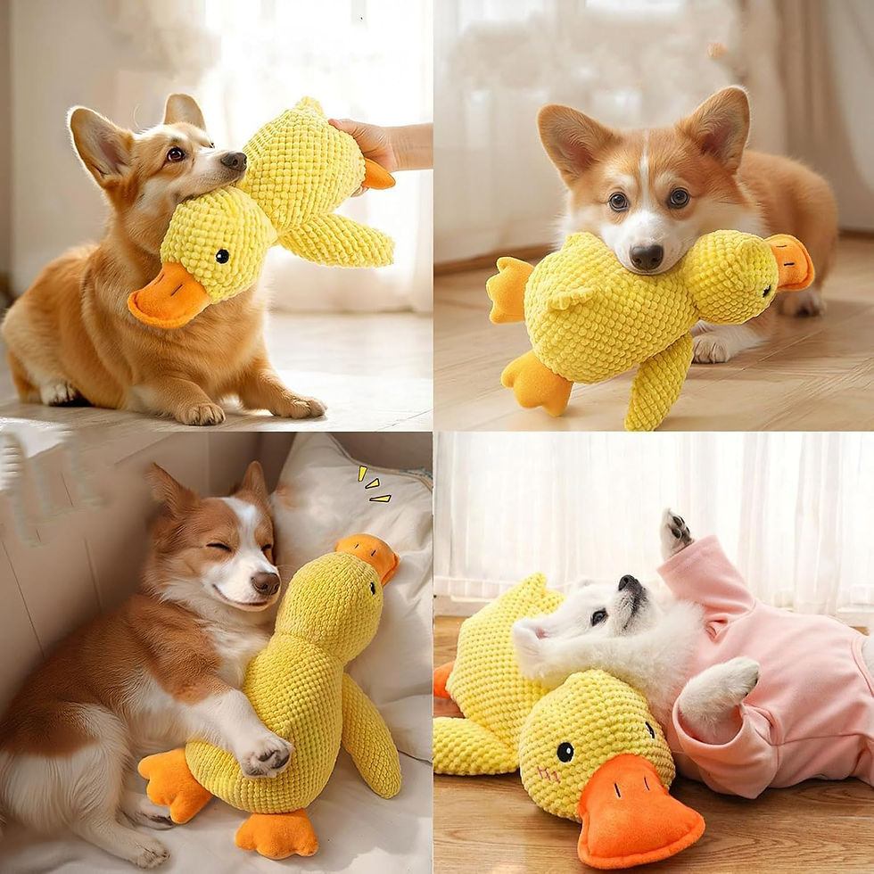 Thumbnail: Duck Dog Toy Plush Chew Resistant Durable Dog Toy with Quacking Sound Teeth Grin