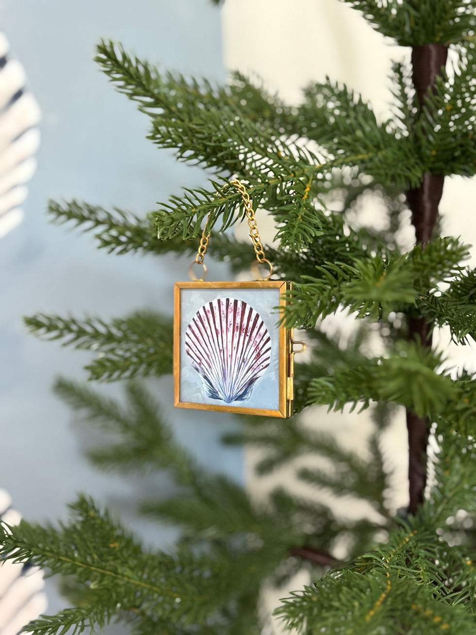 Thumbnail: Tiny Treasures: Framed Shell Giclée Ornament